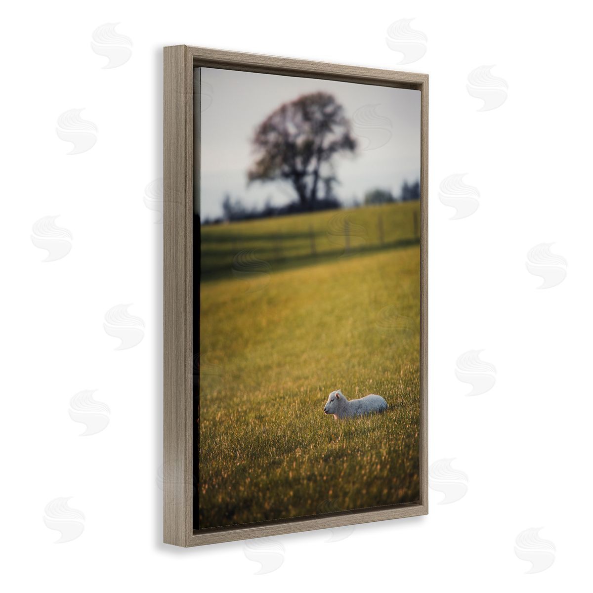 Lamb in Lush Farmland Brown Floating Frame Canvas Wall Art, Home Decor by Thomas Tepstad Berge