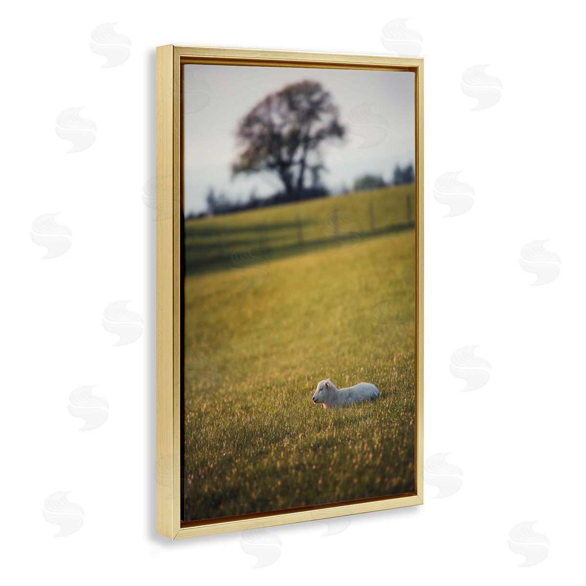 Lamb in Lush Farmland Gold Floating Frame Canvas Wall Art, Home Decor by Thomas Tepstad Berge
