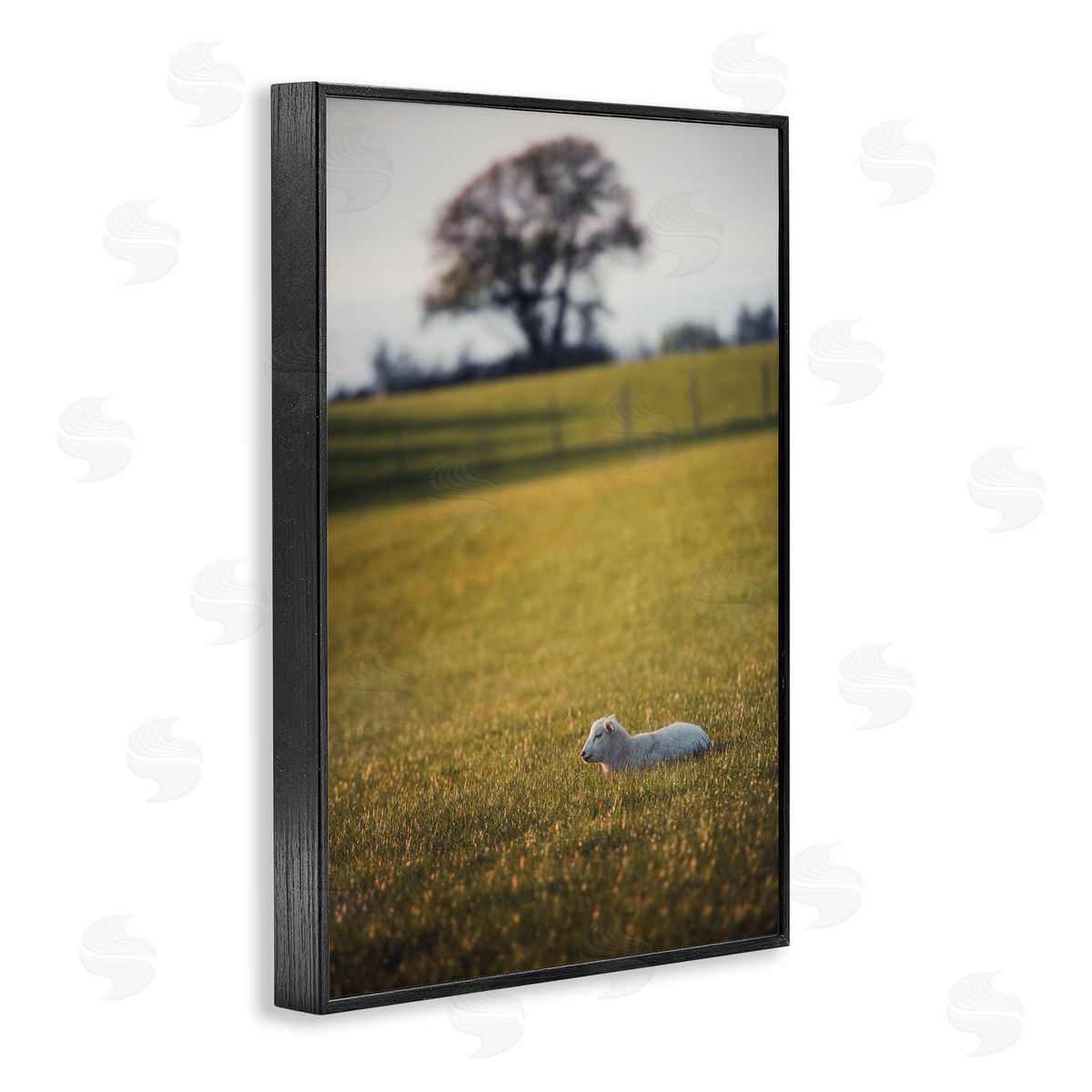 Lamb in Lush Farmland Black Frame Print Wall Art, Home Decor by Thomas Tepstad Berge