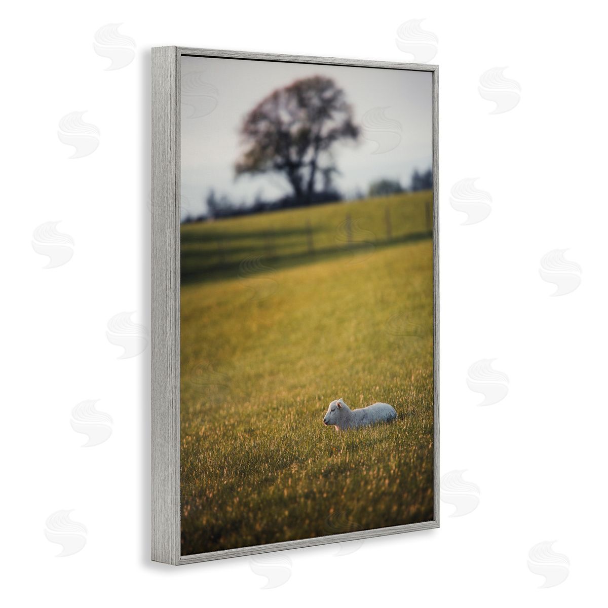 Lamb in Lush Farmland Grey Frame Print Wall Art, Home Decor by Thomas Tepstad Berge