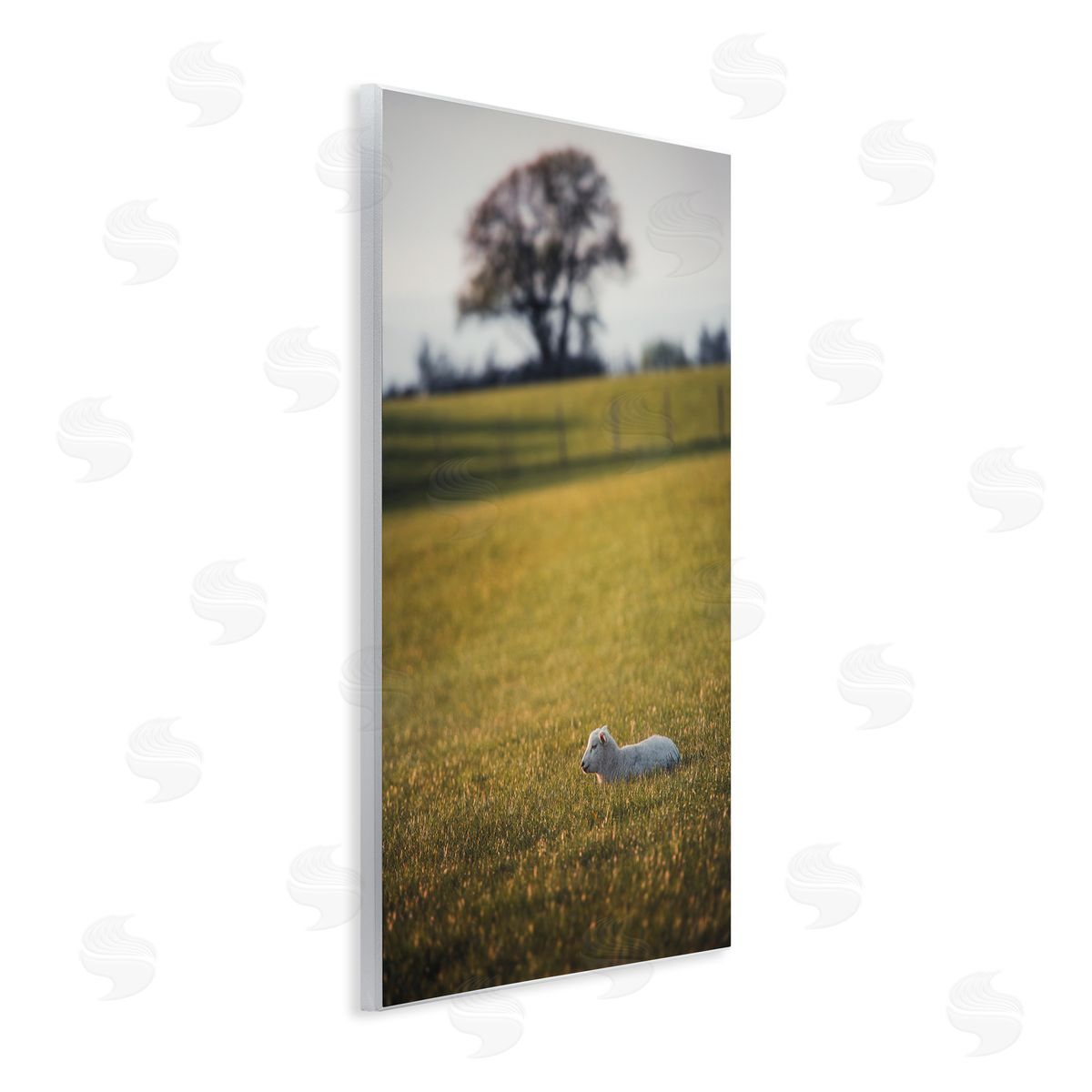 Lamb in Lush Farmland Wood Plaque Wall Art, Home Decor by Thomas Tepstad Berge