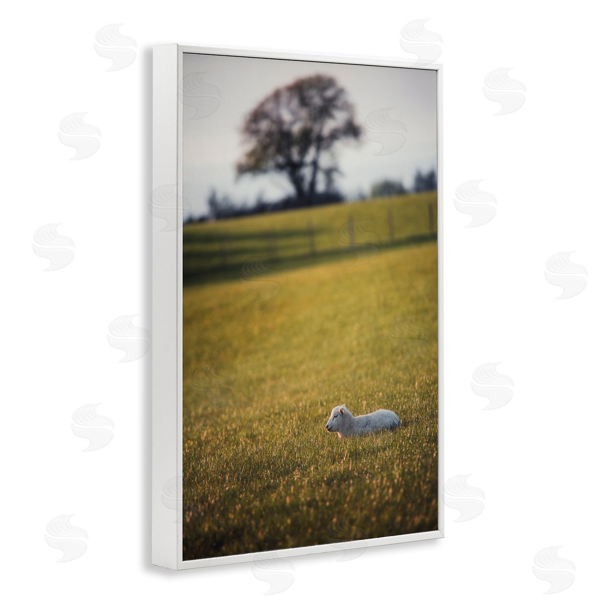 Lamb in Lush Farmland White Frame Print Wall Art, Home Decor by Thomas Tepstad Berge