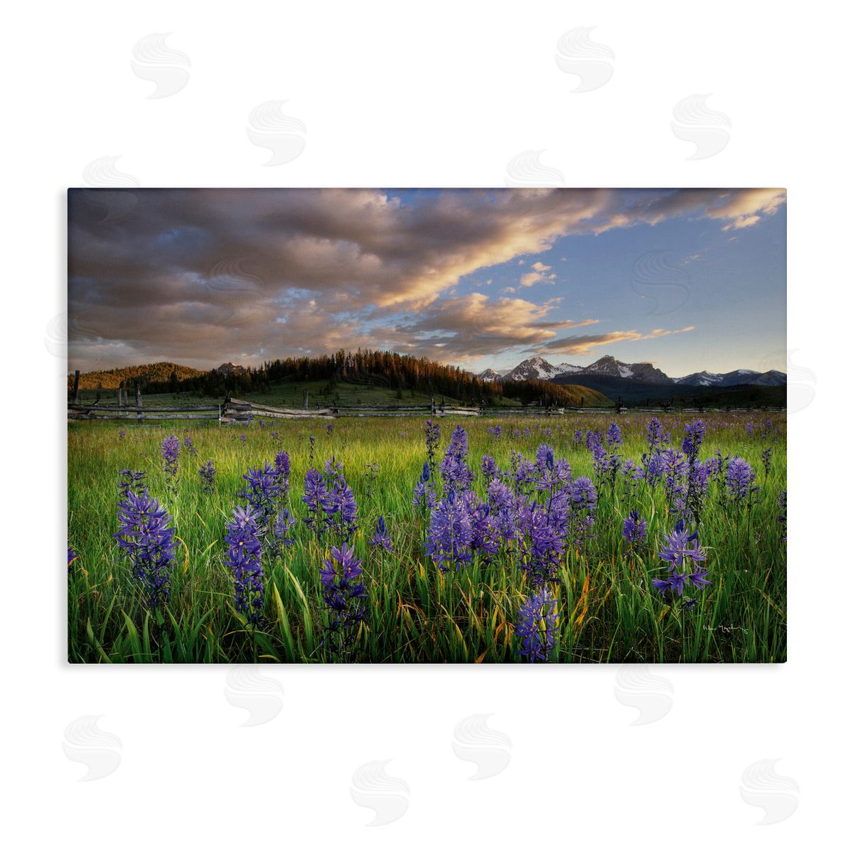 Lavender Bloom Meadows Canvas Wall Art, Home Decor by Alan Majchrowicz