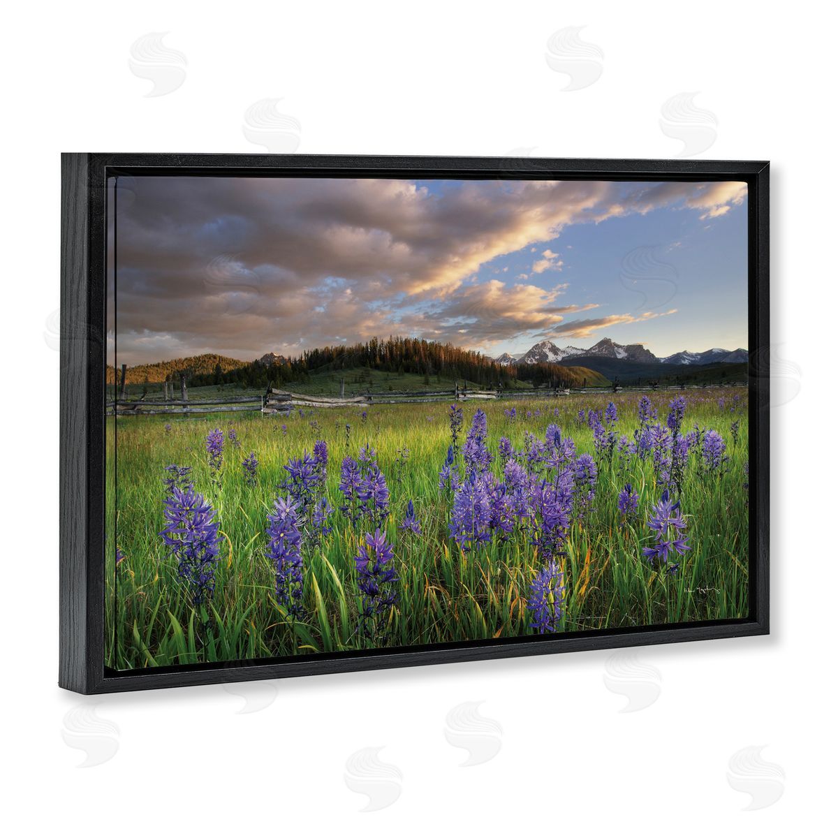 Lavender Bloom Meadows Black Floating Frame Canvas Wall Art, Home Decor by Alan Majchrowicz