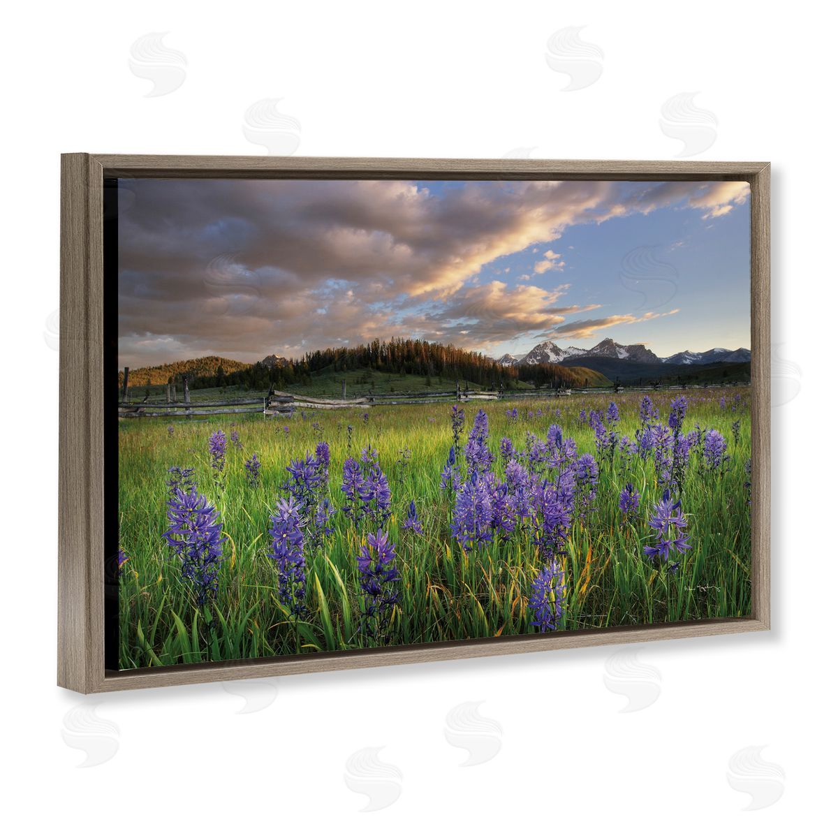 Lavender Bloom Meadows Brown Floating Frame Canvas Wall Art, Home Decor by Alan Majchrowicz