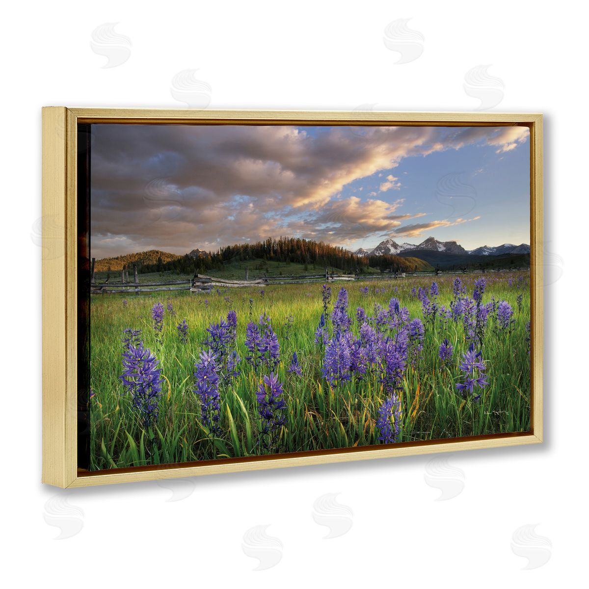 Lavender Bloom Meadows Gold Floating Frame Canvas Wall Art, Home Decor by Alan Majchrowicz