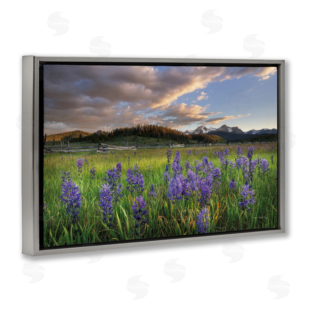 Lavender Bloom Meadows Grey Floating Frame Canvas Wall Art, Home Decor by Alan Majchrowicz