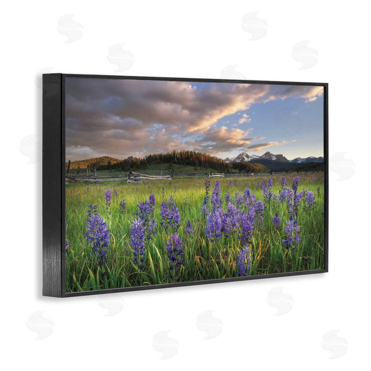 Lavender Bloom Meadows Black Frame Print Wall Art, Home Decor by Alan Majchrowicz