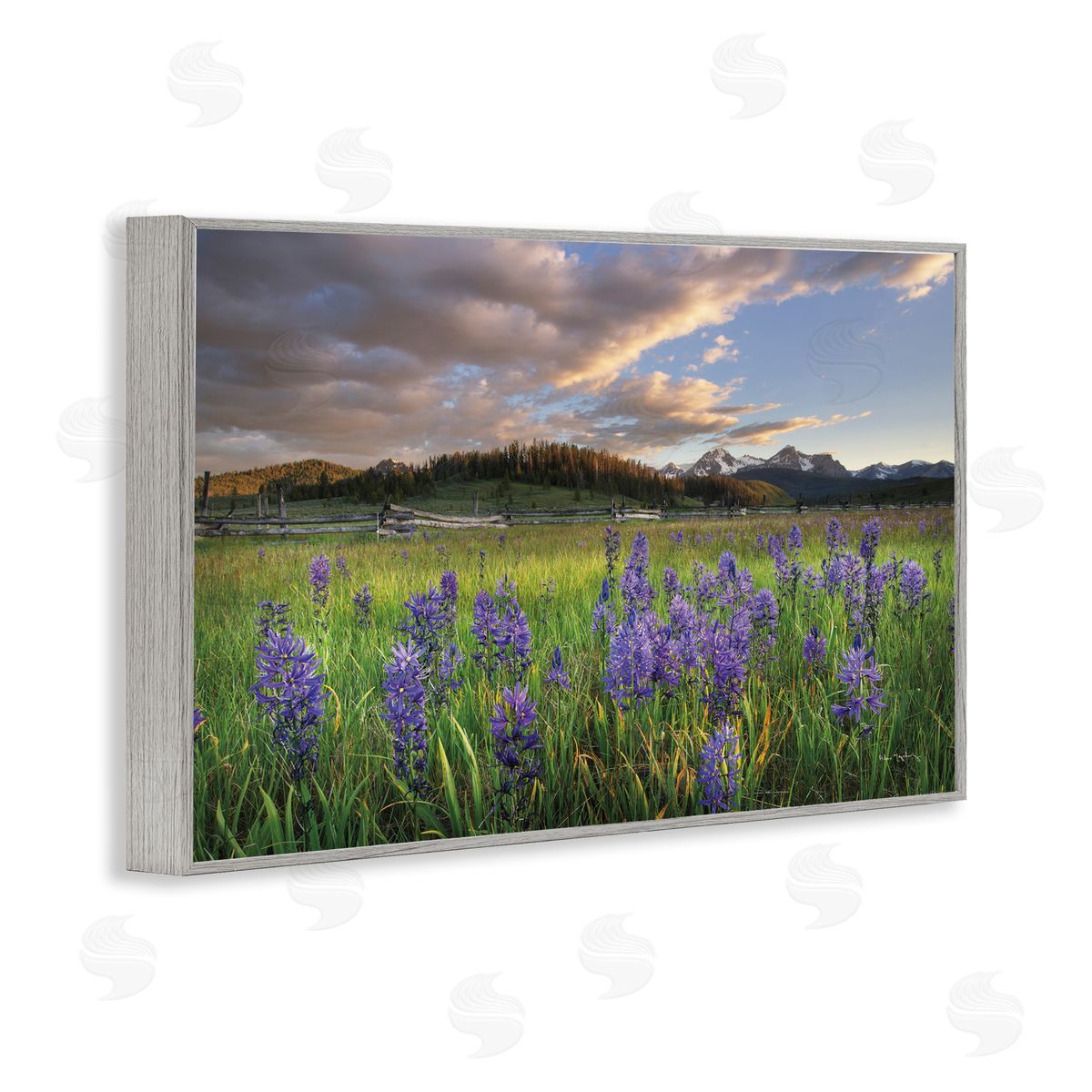Lavender Bloom Meadows Grey Frame Print Wall Art, Home Decor by Alan Majchrowicz