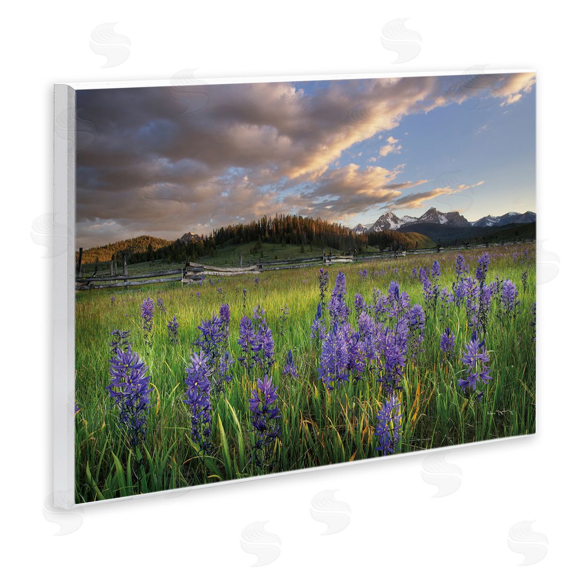 Lavender Bloom Meadows Wood Plaque Wall Art, Home Decor by Alan Majchrowicz