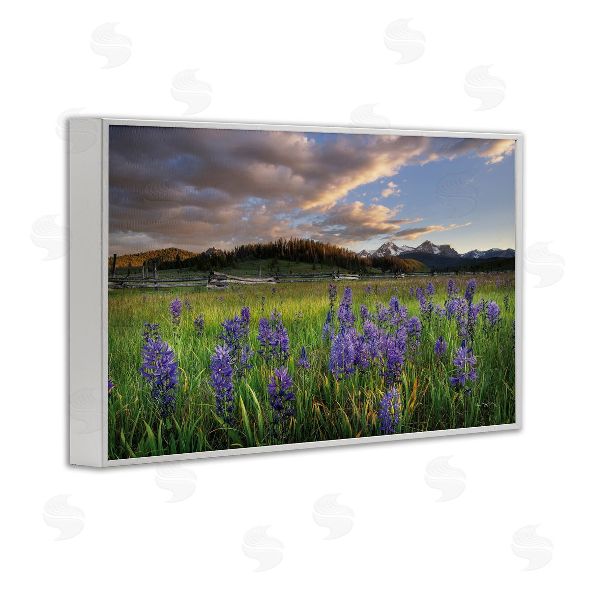 Lavender Bloom Meadows White Frame Print Wall Art, Home Decor by Alan Majchrowicz