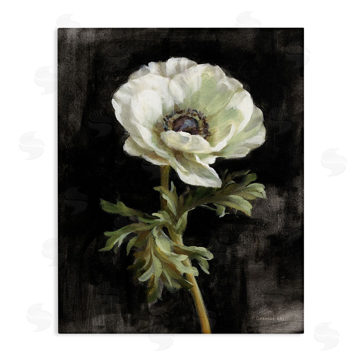 Anemone on Black Canvas Wall Art, Home Decor by Danhui Nai
