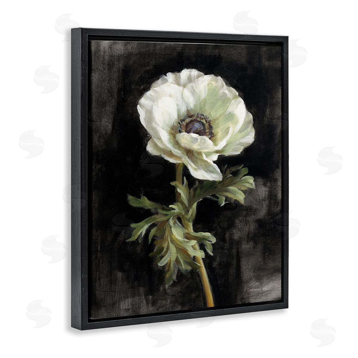 Anemone on Black Black Floating Frame Canvas Wall Art, Home Decor by Danhui Nai