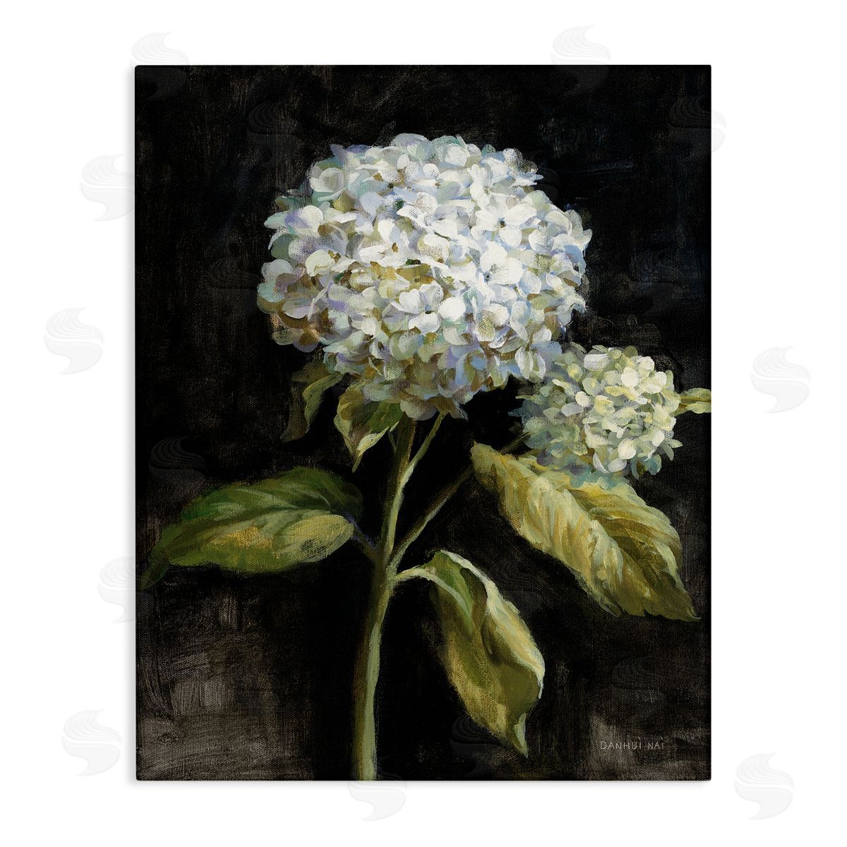 Hydrangea on Black Canvas Wall Art, Home Decor by Danhui Nai