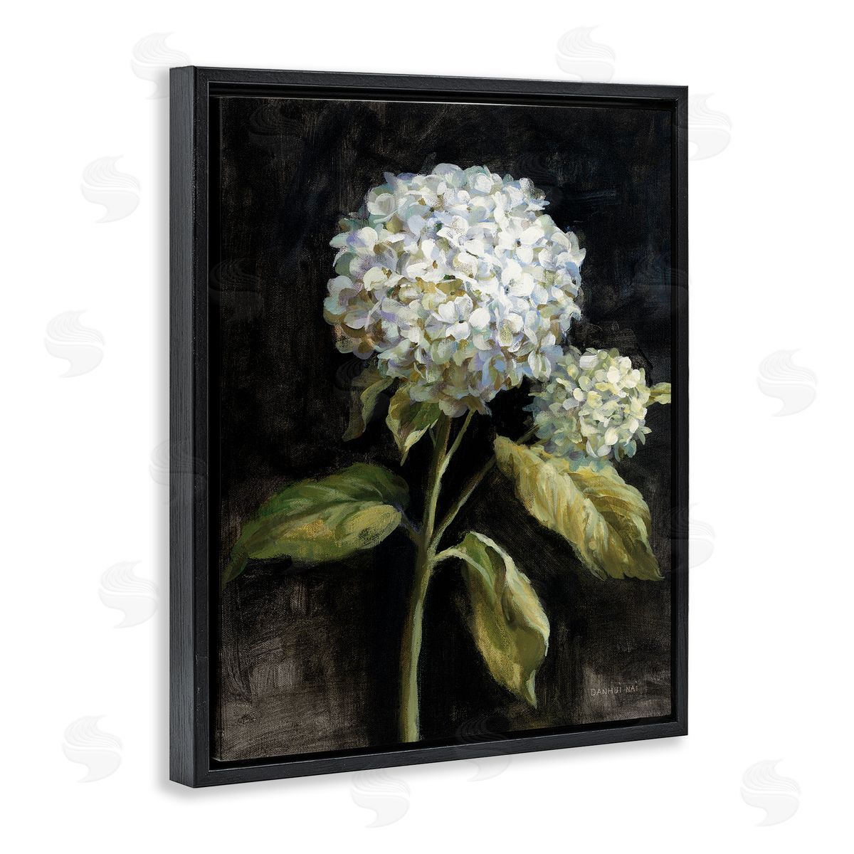 Hydrangea on Black Black Floating Frame Canvas Wall Art, Home Decor by Danhui Nai