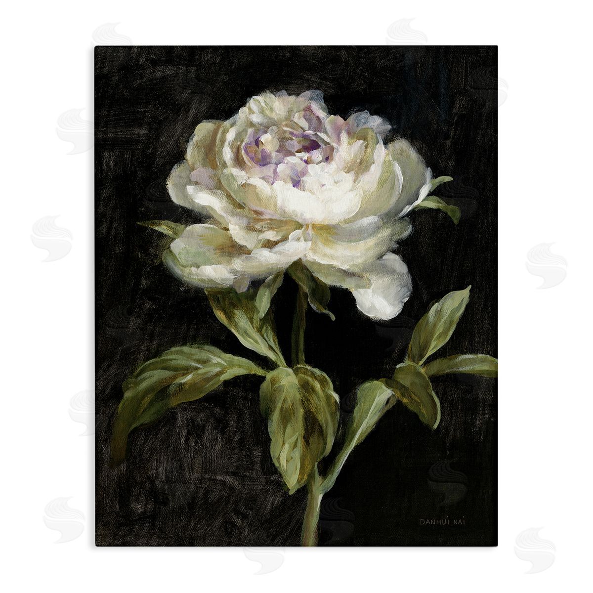 Peony on Black Canvas Wall Art, Home Decor by Danhui Nai