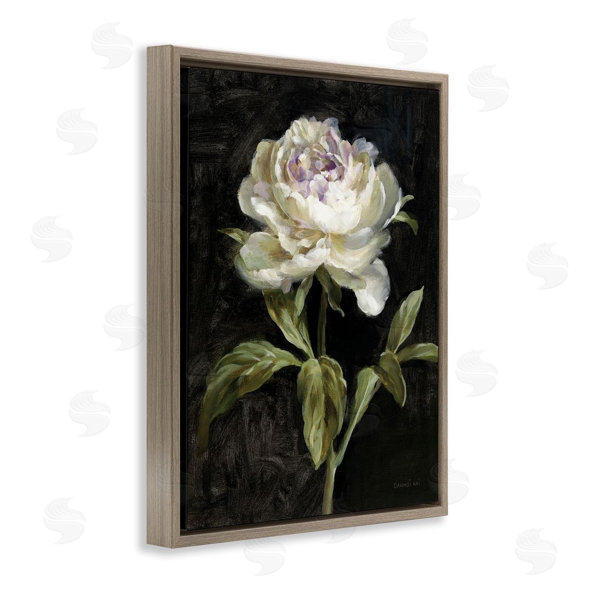 Peony on Black Brown Floating Frame Canvas Wall Art, Home Decor by Danhui Nai
