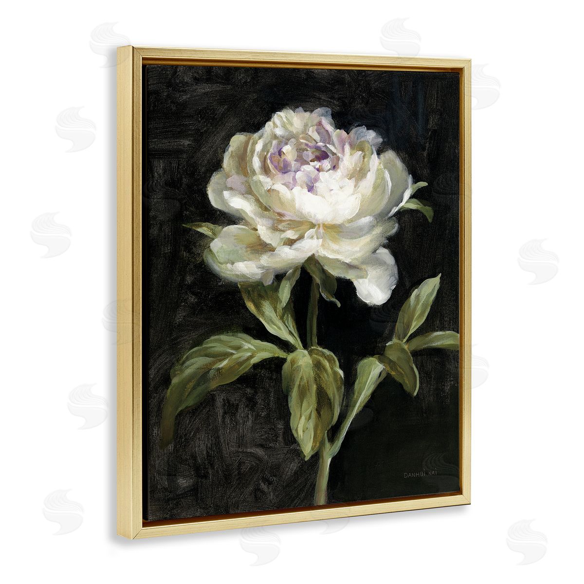 Peony on Black Gold Floating Frame Canvas Wall Art, Home Decor by Danhui Nai