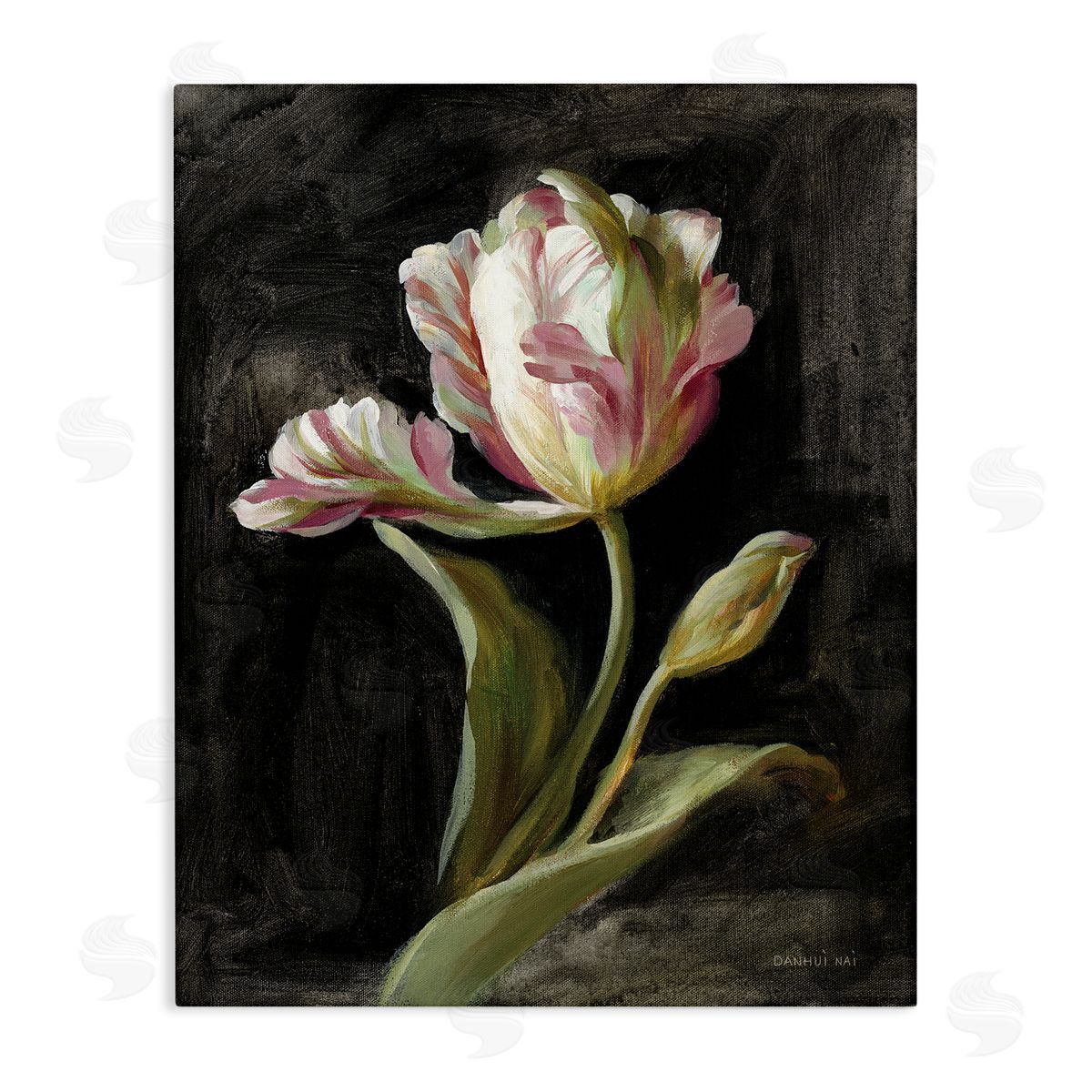 Tulip on Black Canvas Wall Art, Home Decor by Danhui Nai