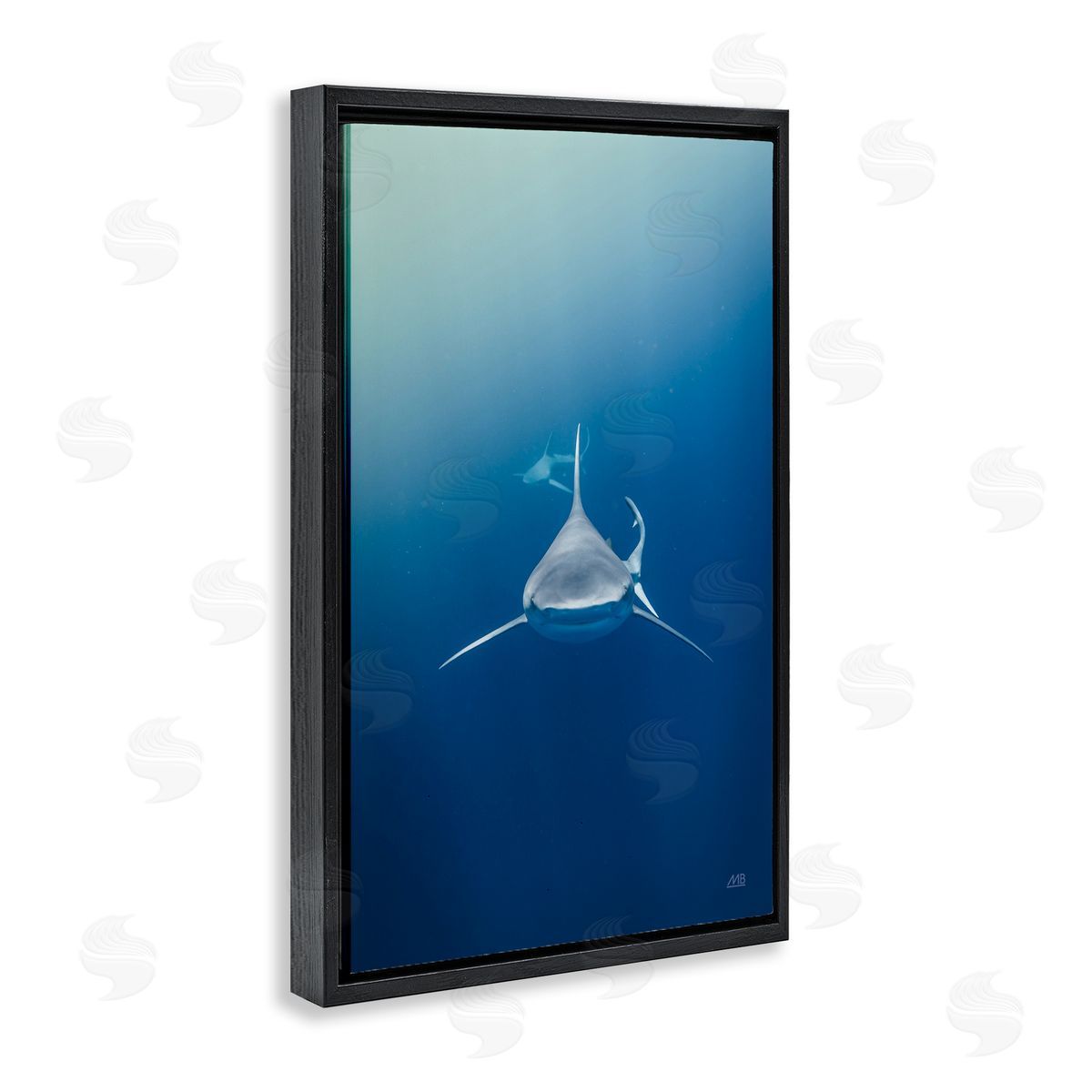 Heads Up Shark Black Floating Frame Canvas Wall Art, Home Decor by Max Blakesberg Studios