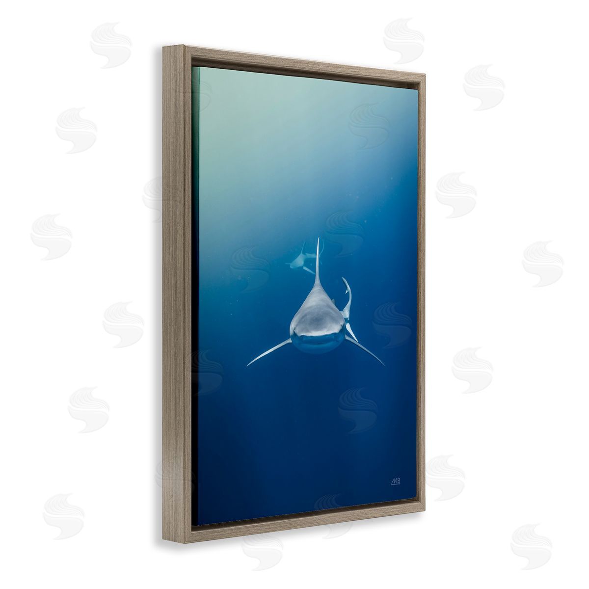 Heads Up Shark Brown Floating Frame Canvas Wall Art, Home Decor by Max Blakesberg Studios