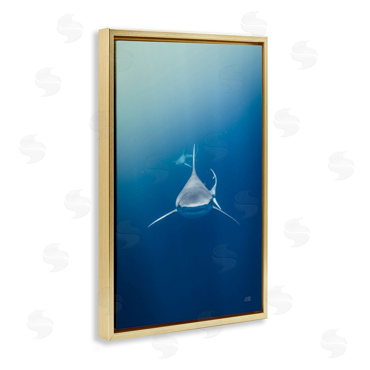 Heads Up Shark Gold Floating Frame Canvas Wall Art, Home Decor by Max Blakesberg Studios