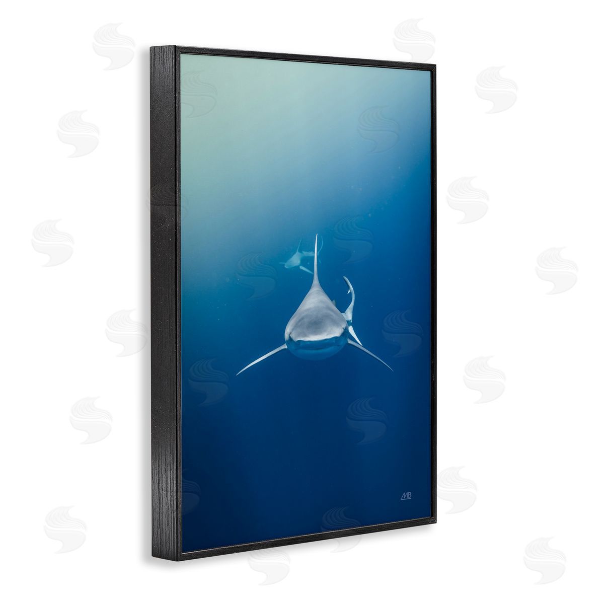 Heads Up Shark Black Frame Print Wall Art, Home Decor by Max Blakesberg Studios