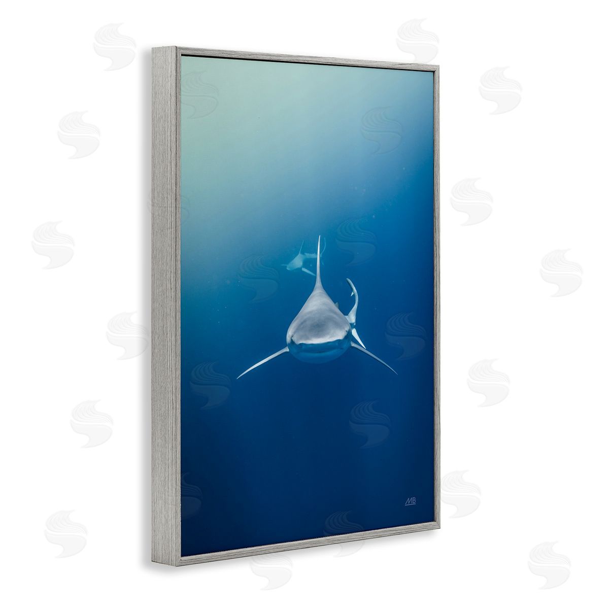 Heads Up Shark Grey Frame Print Wall Art, Home Decor by Max Blakesberg Studios