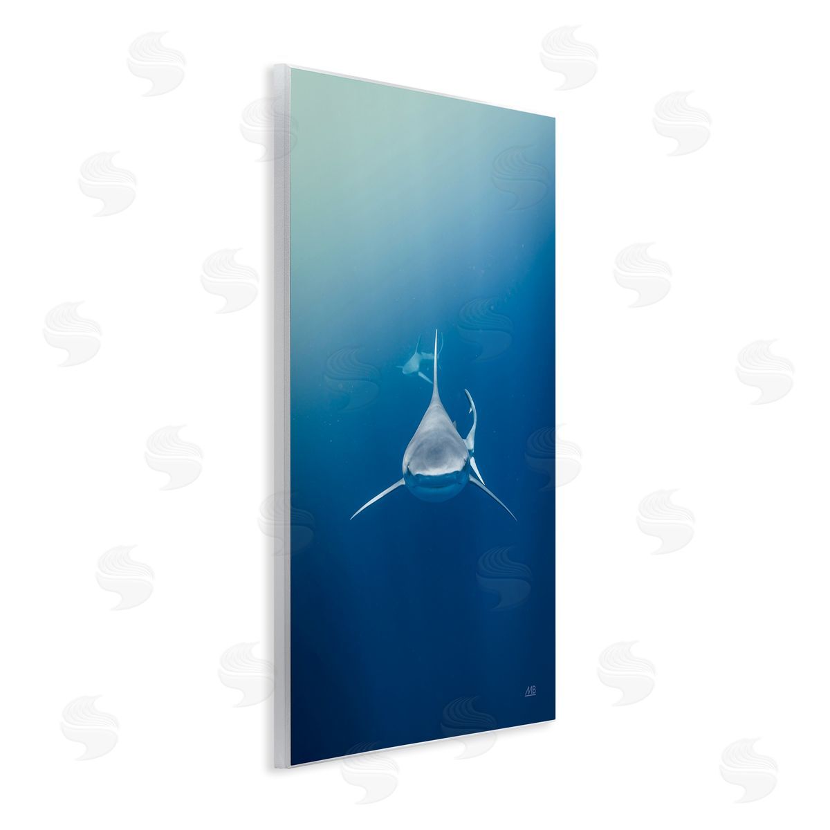 Heads Up Shark Wood Plaque Wall Art, Home Decor by Max Blakesberg Studios