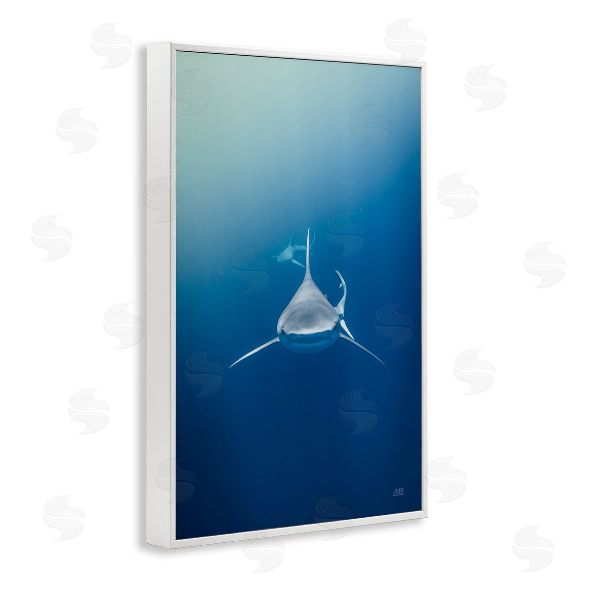 Heads Up Shark White Frame Print Wall Art, Home Decor by Max Blakesberg Studios