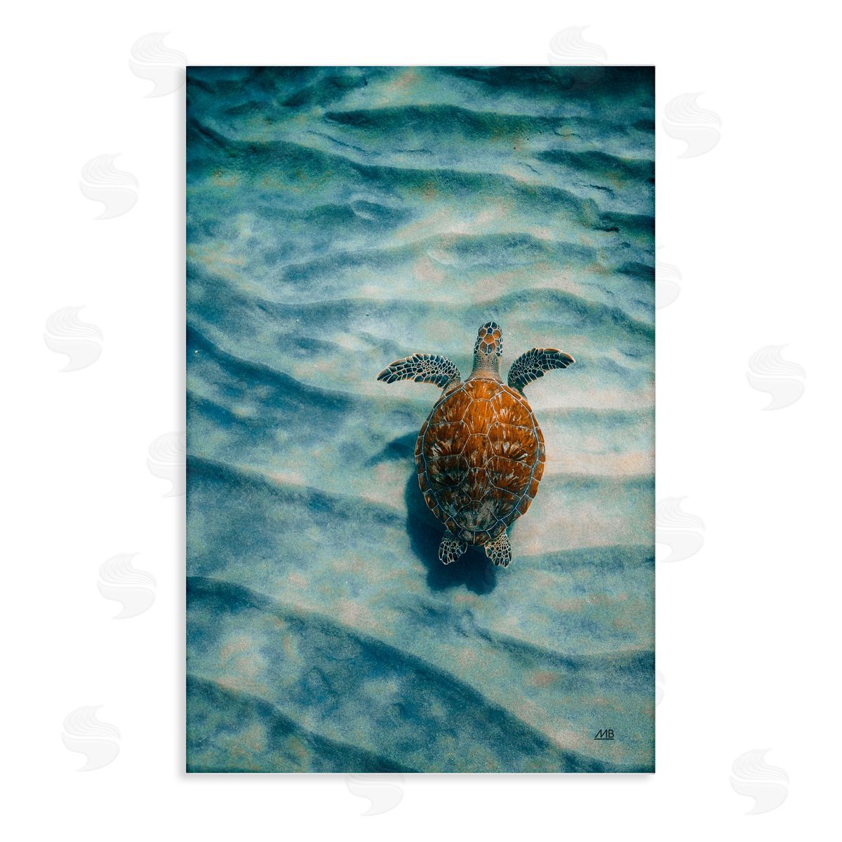 Turtle Along Rippling Sand Canvas Wall Art, Home Decor by Max Blakesberg Studios