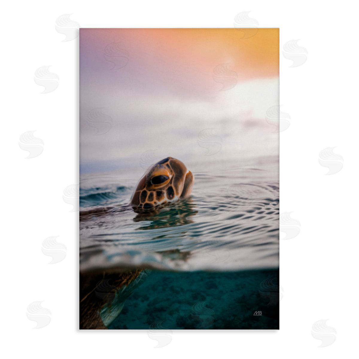Turtle Swim at Sunrise Canvas Wall Art, Home Decor by Max Blakesberg Studios