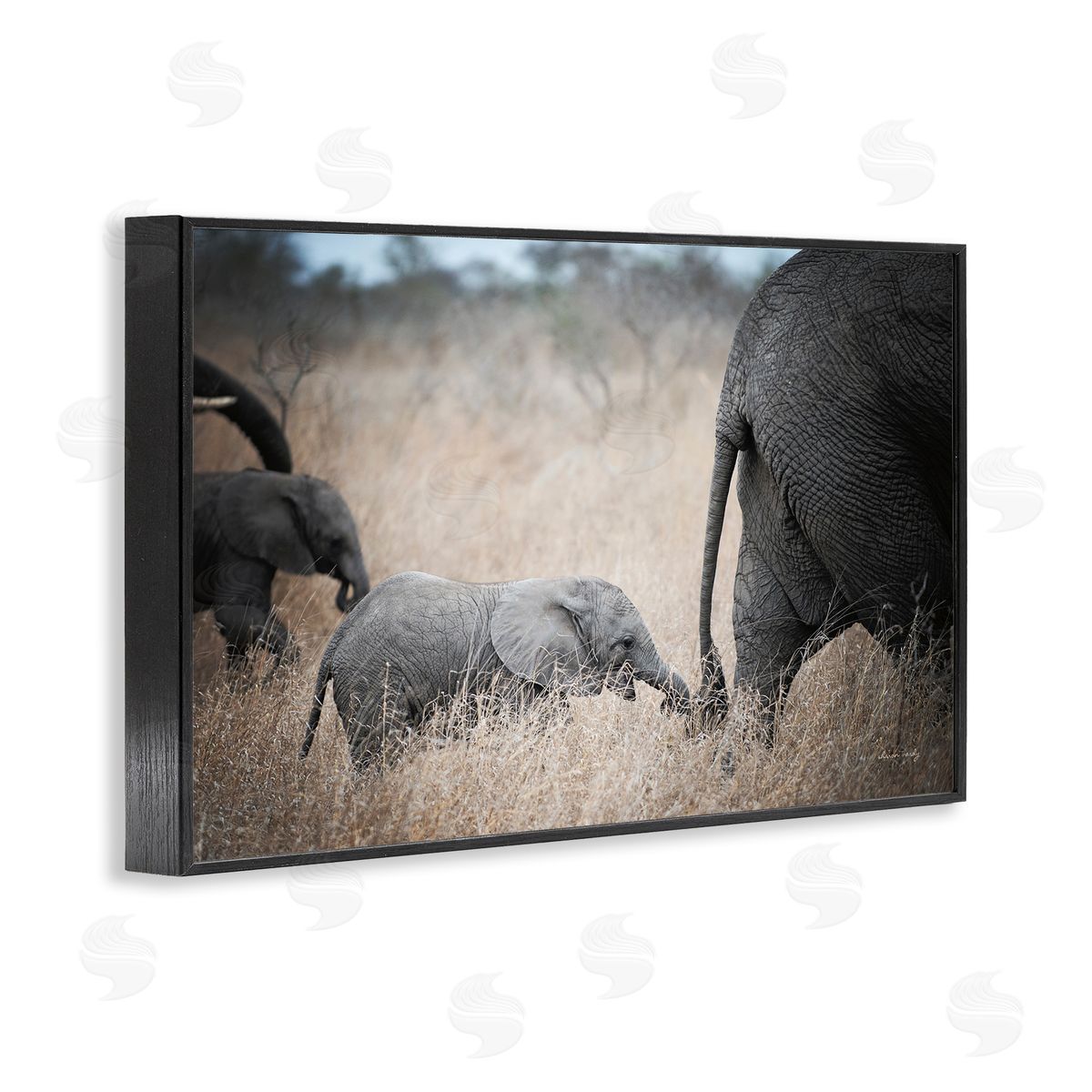 Baby Elephant Strolling Black Frame Print Wall Art, Home Decor by Sharon Vardy