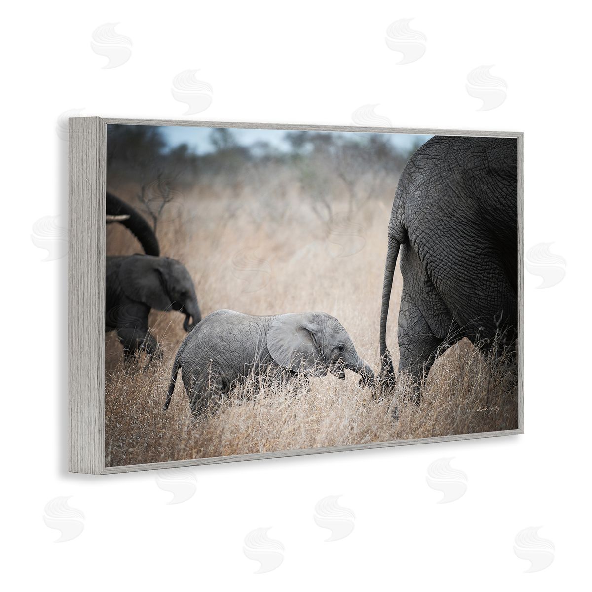 Baby Elephant Strolling Grey Frame Print Wall Art, Home Decor by Sharon Vardy