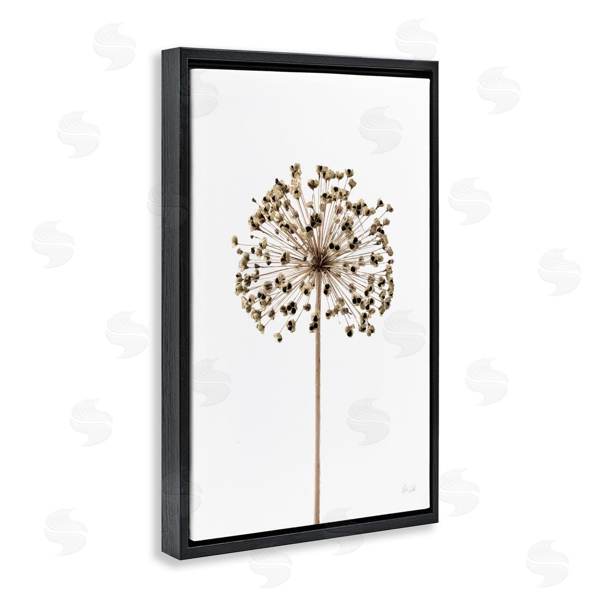 Minimal Allium Bud Black Floating Frame Canvas Wall Art, Home Decor by Deborah Revell