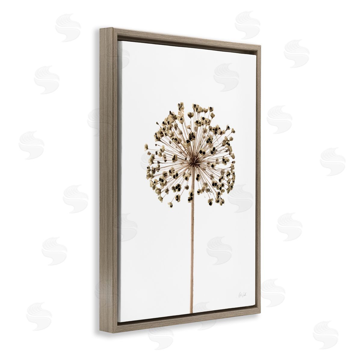 Minimal Allium Bud Brown Floating Frame Canvas Wall Art, Home Decor by Deborah Revell