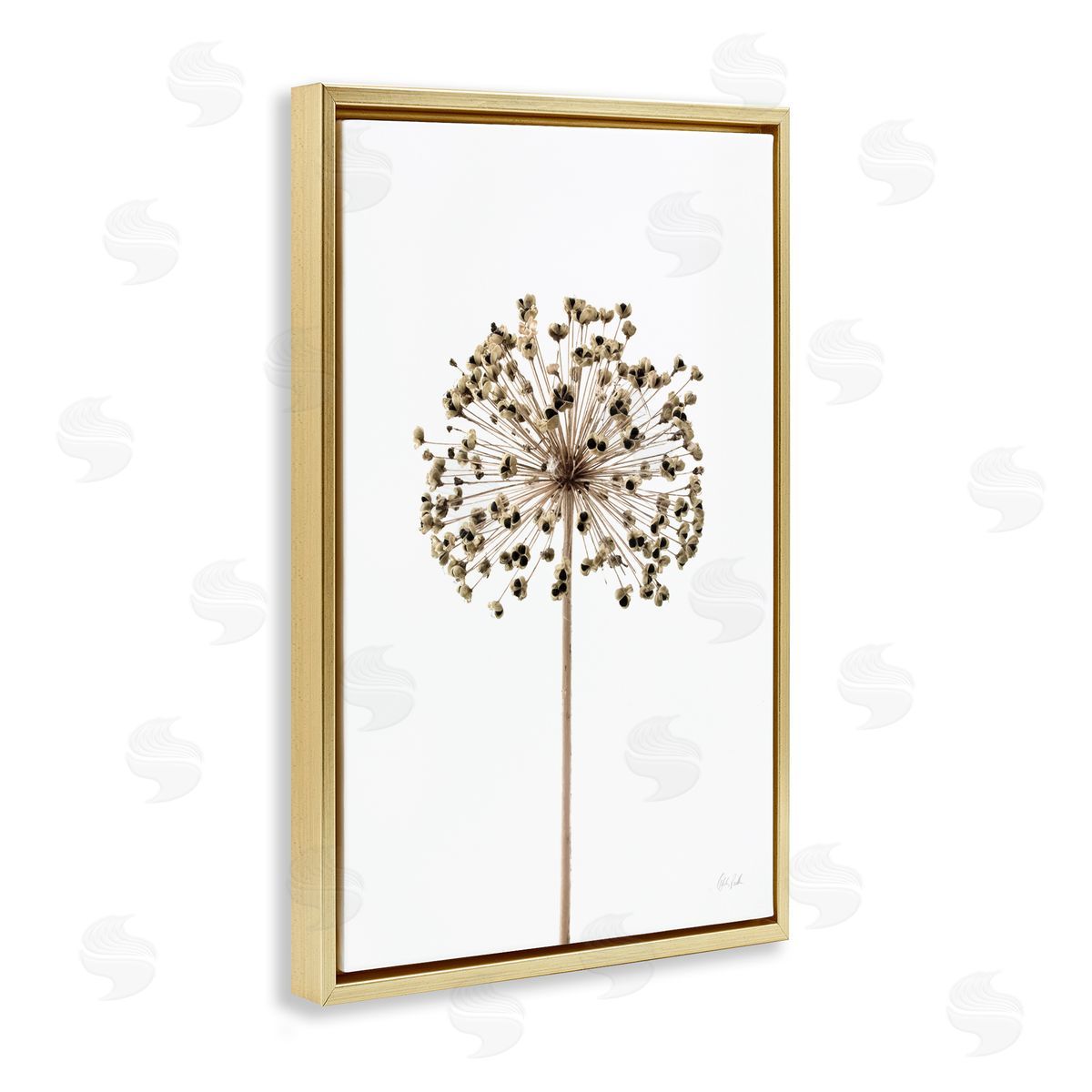 Minimal Allium Bud Gold Floating Frame Canvas Wall Art, Home Decor by Deborah Revell