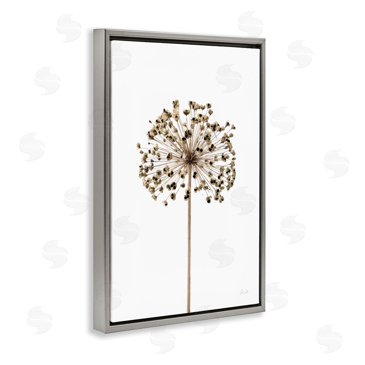 Minimal Allium Bud Grey Floating Frame Canvas Wall Art, Home Decor by Deborah Revell