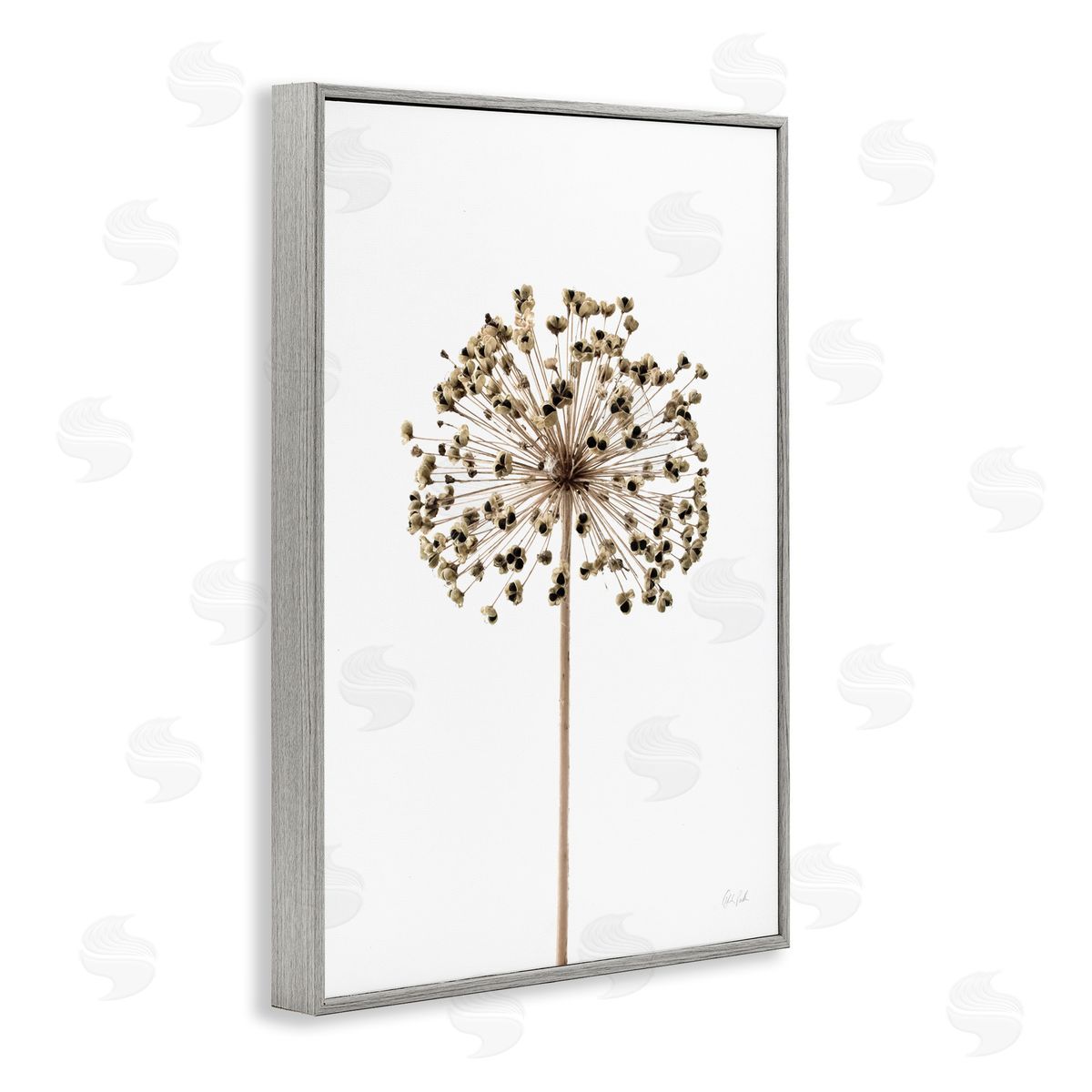 Minimal Allium Bud Grey Frame Print Wall Art, Home Decor by Deborah Revell