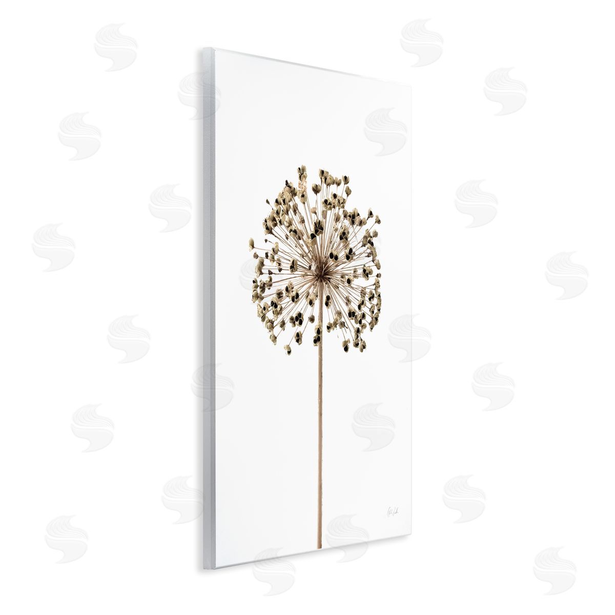 Minimal Allium Bud Wood Plaque Wall Art, Home Decor by Deborah Revell