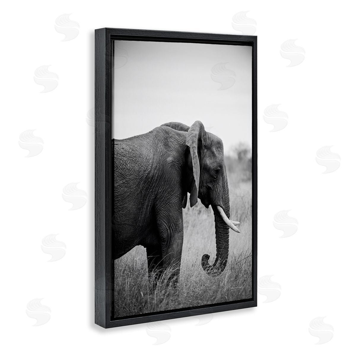 Side Profile Elephant Black Floating Frame Canvas Wall Art, Home Decor by Sharon Vardy