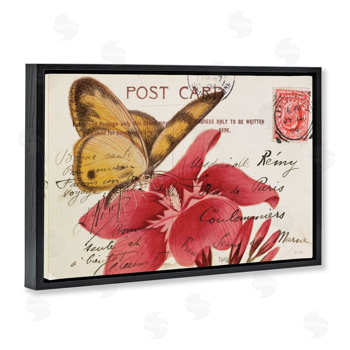 Antique Postcard & Butterfly Black Floating Frame Canvas Wall Art, Home Decor by Deborah Revell