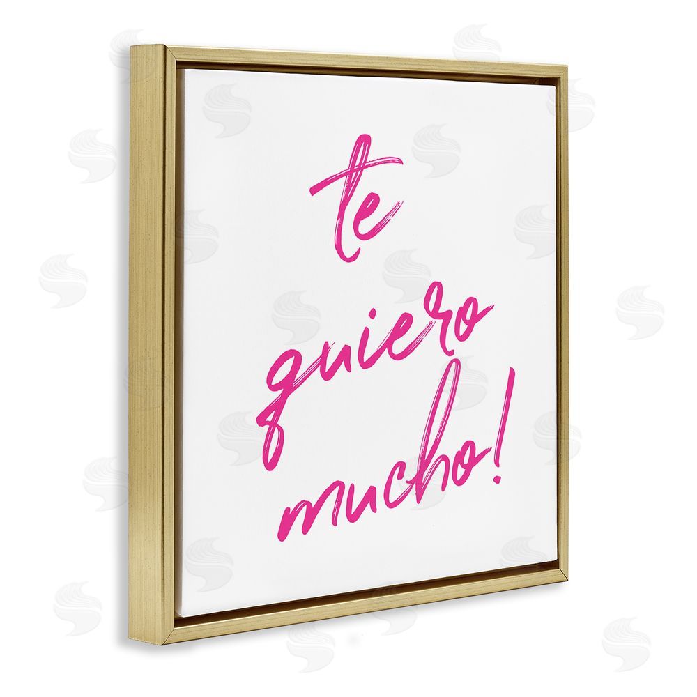 SD Graphics Studio Te Quiero Mucho Rosa Gold Floating Frame Canvas Wall Art Print