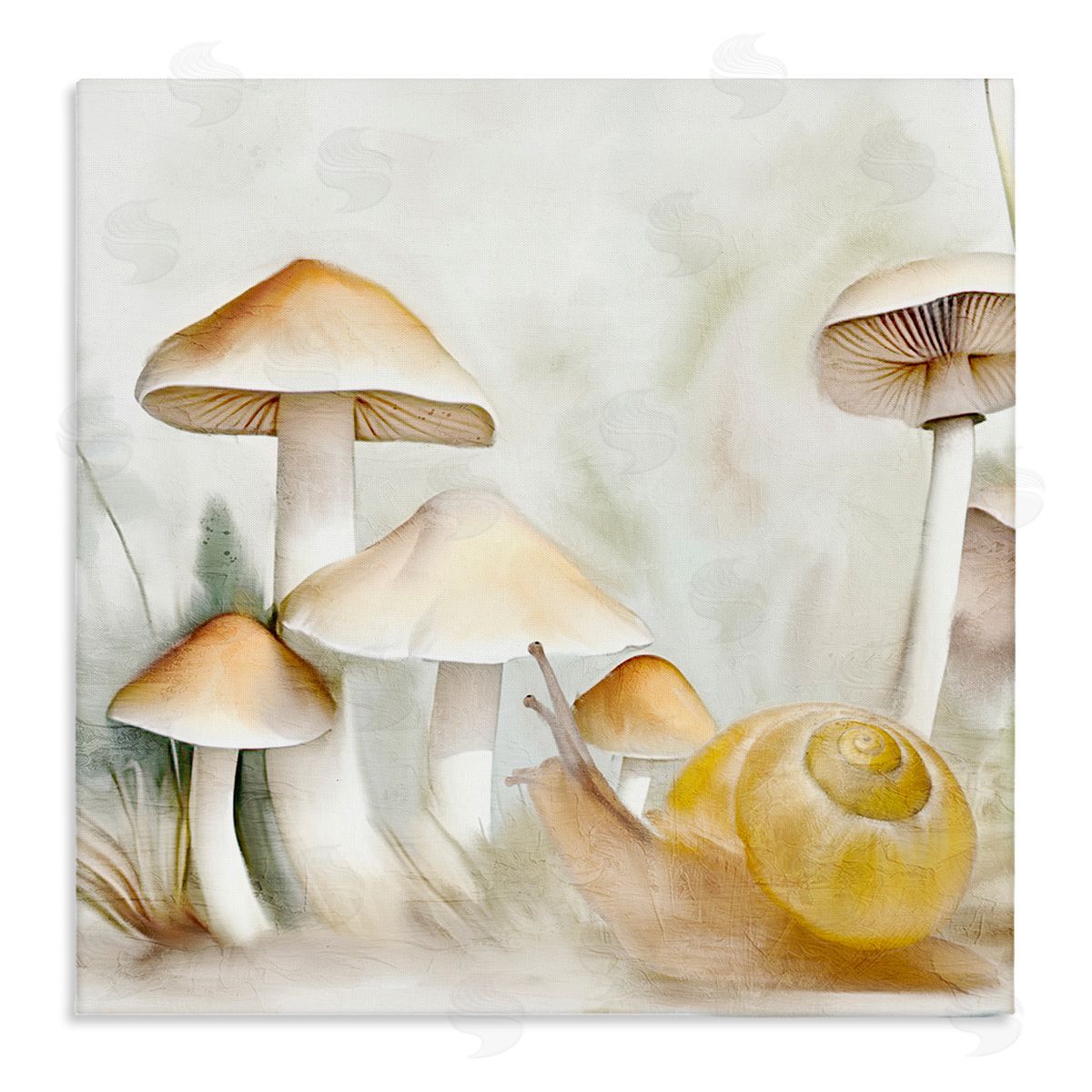 Snail & Natural Mushrooms Canvas Wall Art, Home Decor by Kim Allen