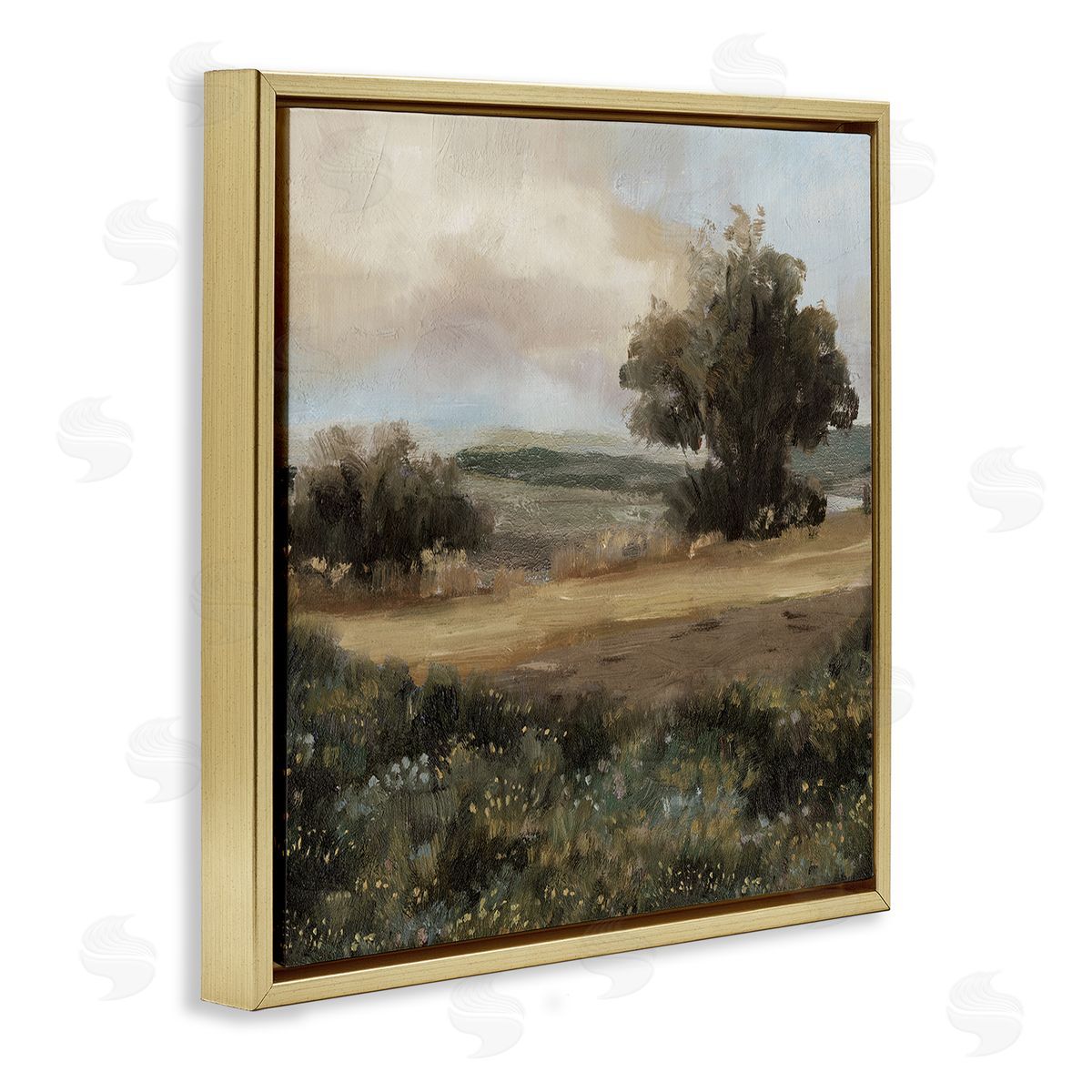 Vast Country Terrain Gold Floating Frame Canvas Wall Art, Home Decor by Cloverfield & Co.