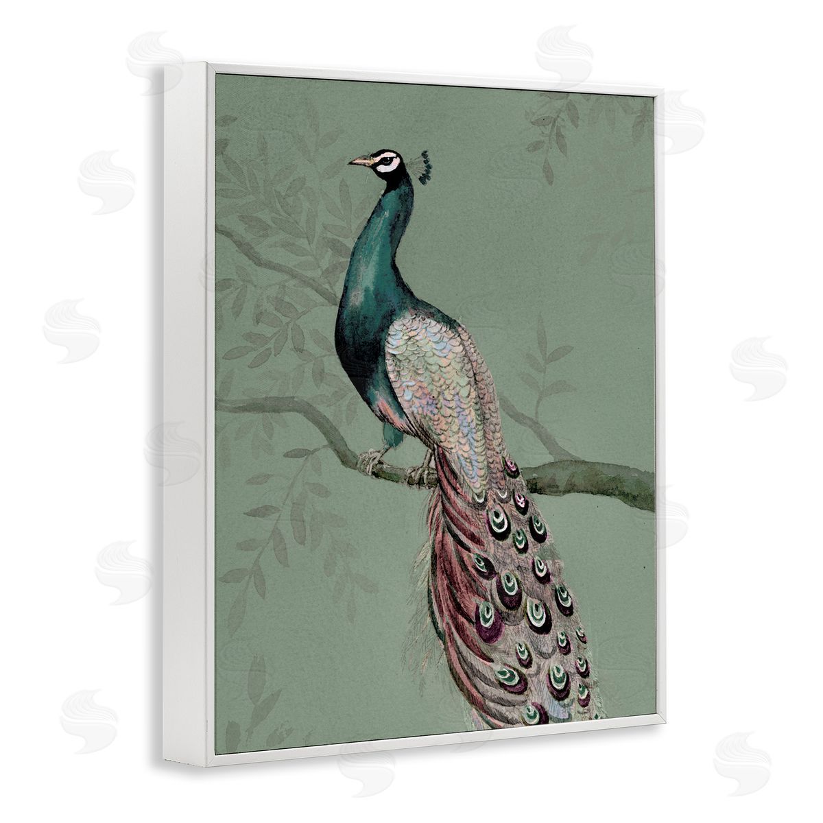 Regal Peacock on Branch White Frame Print Wall Art, Home Decor by Cloverfield & Co.