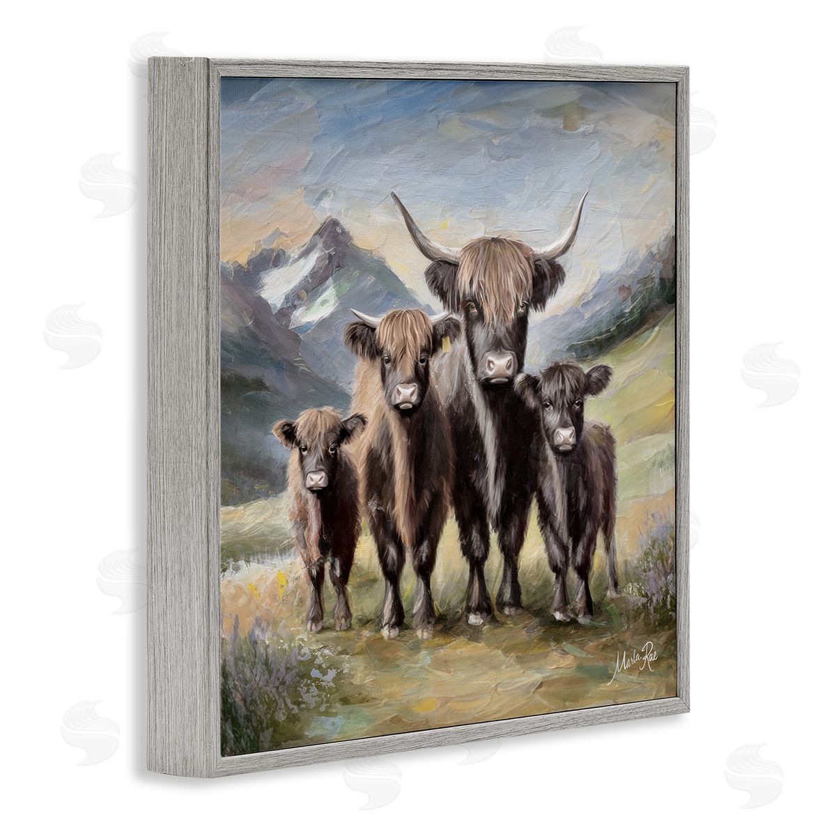 Cattle Family in Highlands Grey Frame Print Wall Art, Home Decor by Marla Rae