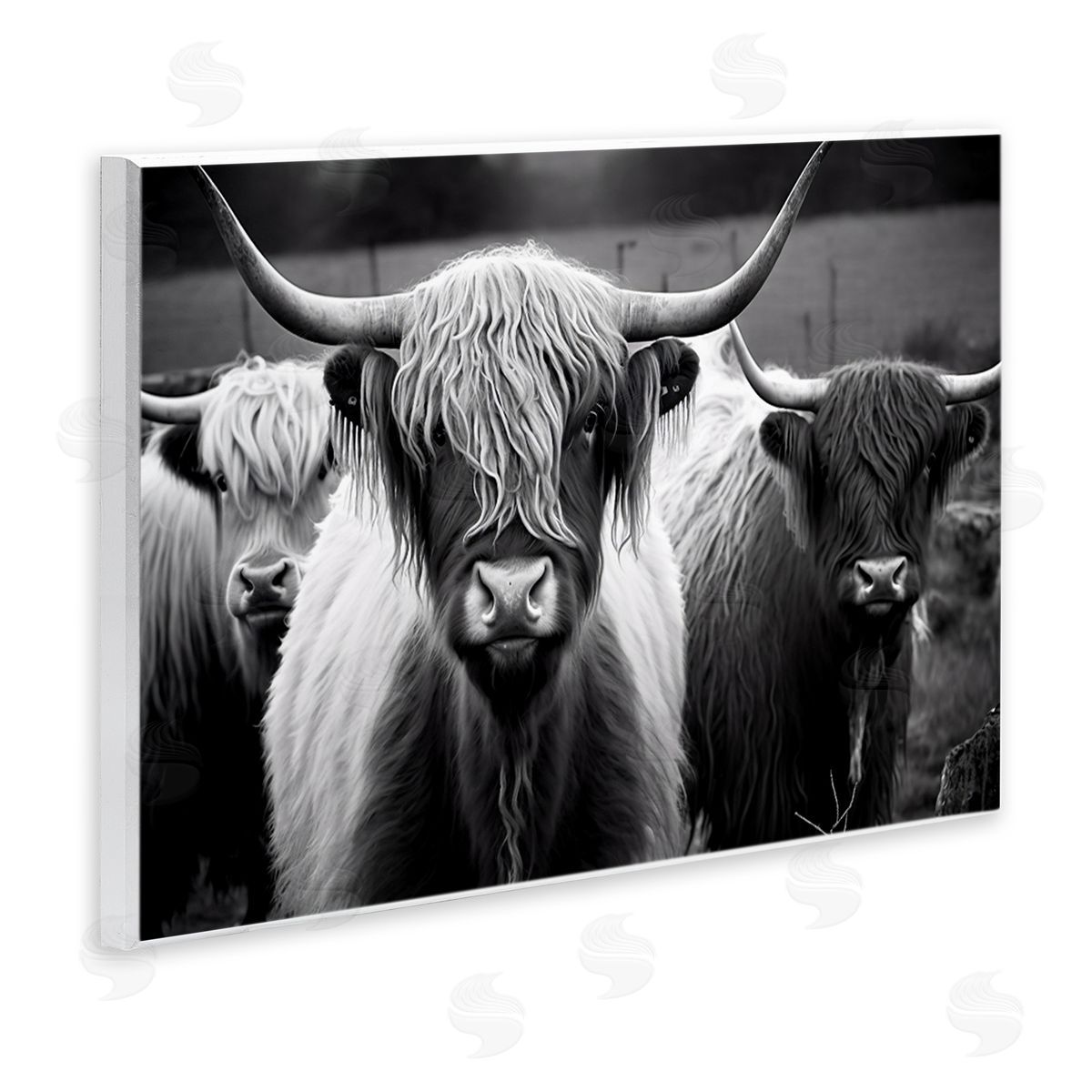 Black & White Highland Cows Wood Plaque Wall Art, Home Decor by Franklyn Gregory