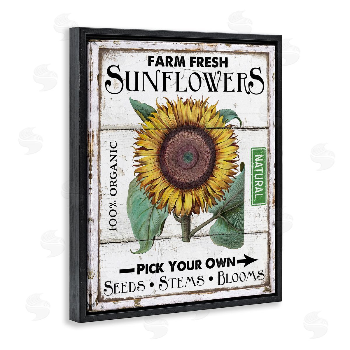 Rustic Farm Fresh Sunflowers Black Floating Frame Canvas Wall Art, Home Decor by Creatif Belle