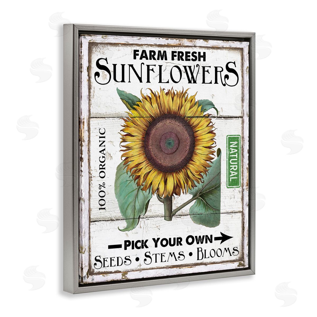 Rustic Farm Fresh Sunflowers Grey Floating Frame Canvas Wall Art, Home Decor by Creatif Belle